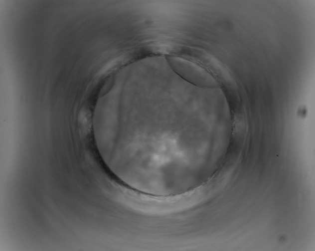 X0000101410043200808041114