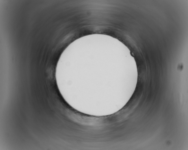 X0000101410044200808041114