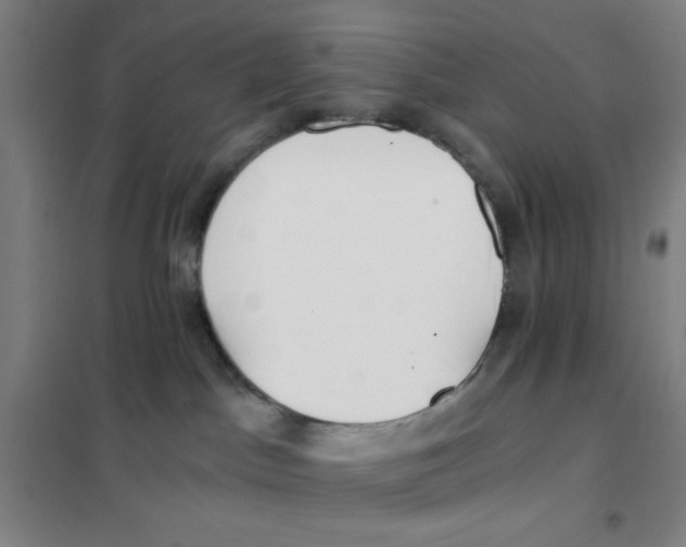 X0000101410045200808041114