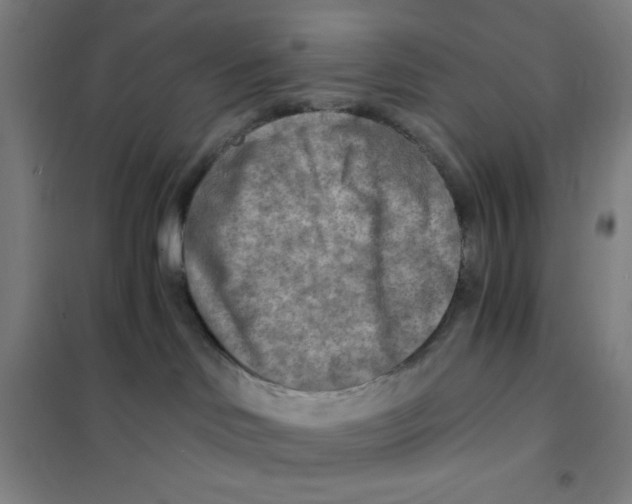 X0000101410046200808041114