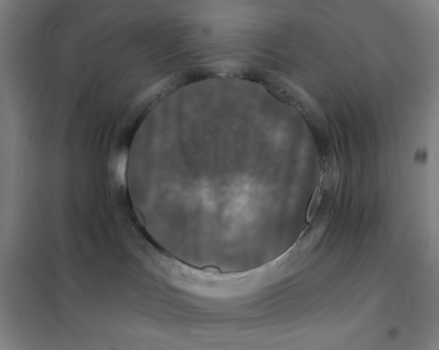X0000101410047200808041114