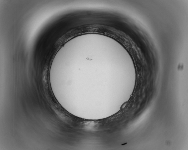 X0000101410050200808041113