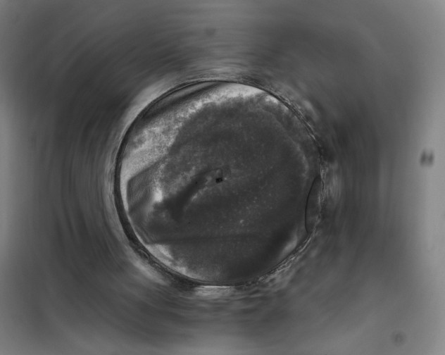 X0000101410051200808041114