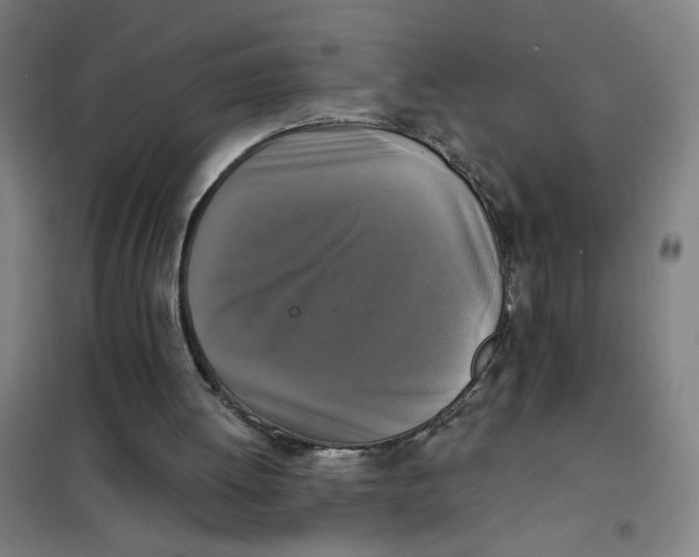 X0000101410052200808041114