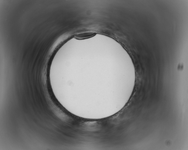 X0000101410054200808041114