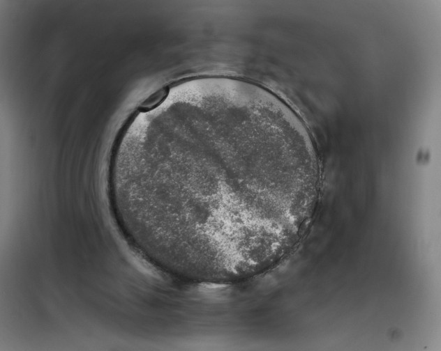 X0000101410055200808041114