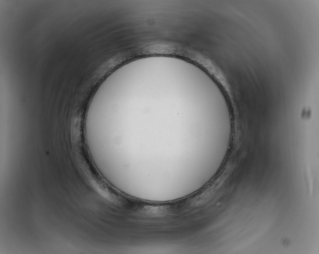 X0000101410057200808041114