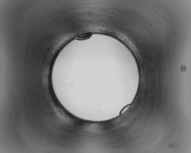 X0000101410058200808041114