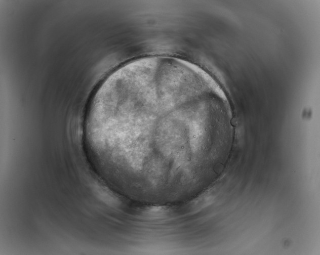 X0000101410059200808041114