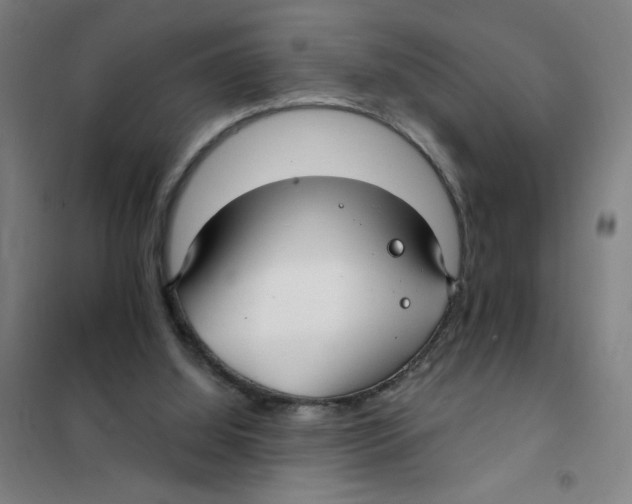 X0000101410060200808041114