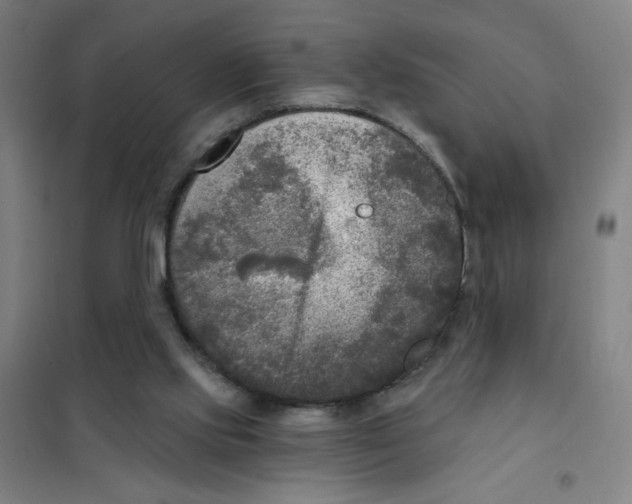 X0000101410061200808041114