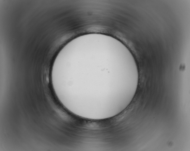 X0000101410062200808041114