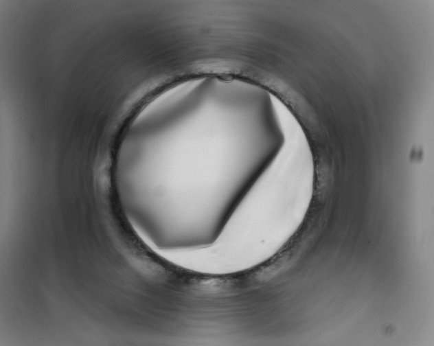 X0000101410064200808041114
