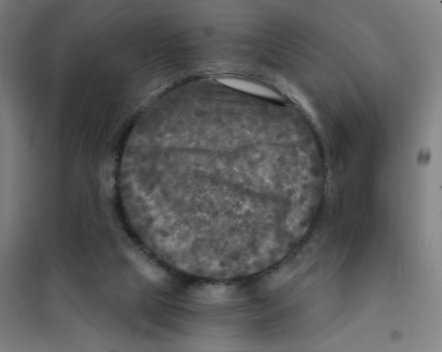 X0000101410065200808041114