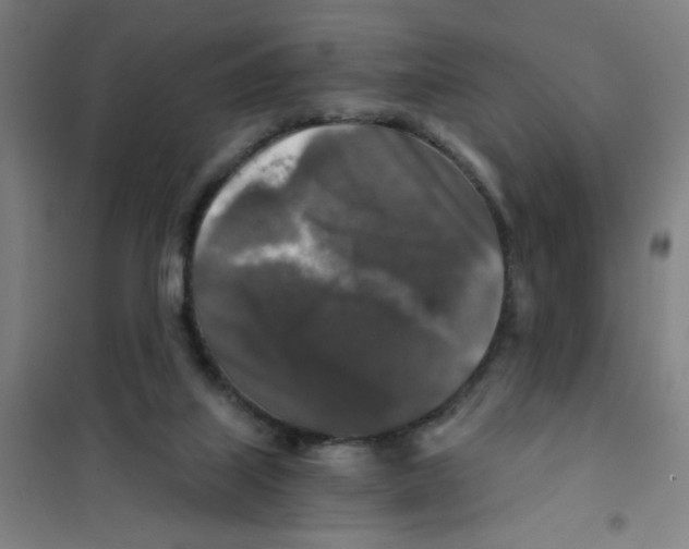 X0000101410067200808041114