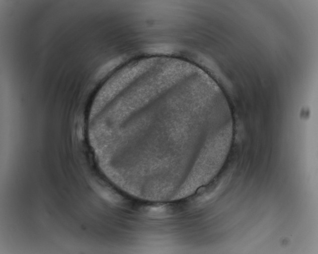X0000101410068200808041114