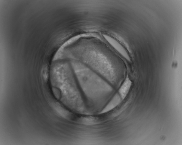 X0000101410069200808041114