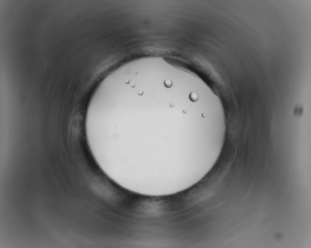 X0000101410071200808041114