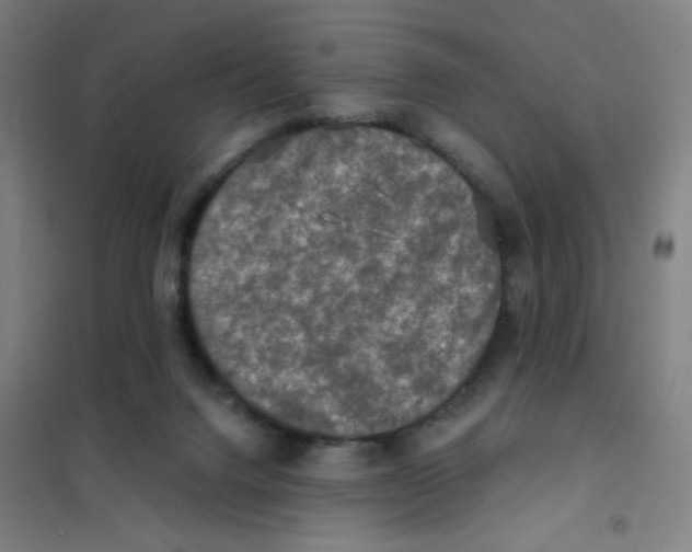 X0000101410072200808041114