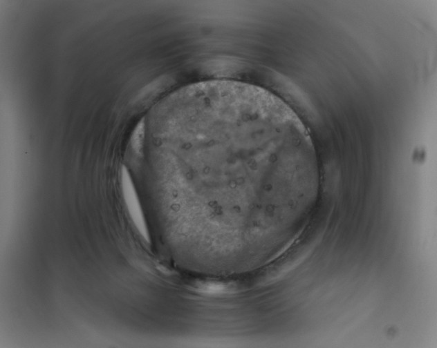 X0000101410073200808041114
