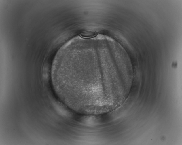 X0000101410074200808041114