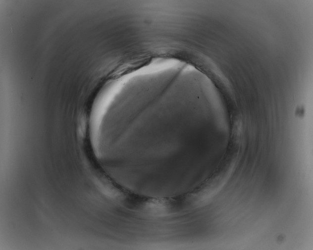 X0000101410076200808041114