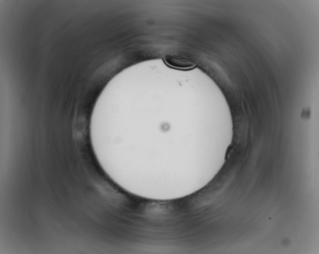 X0000101410077200808041114