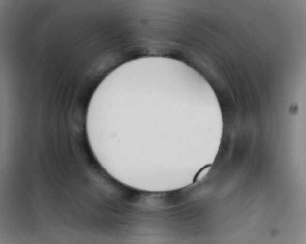 X0000101410078200808041114