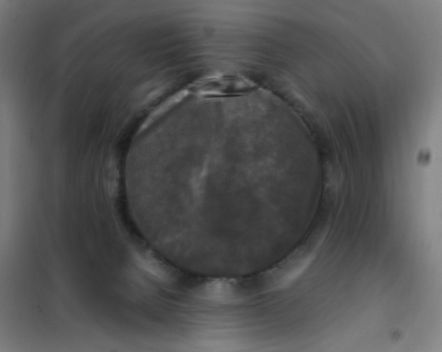 X0000101410080200808041114