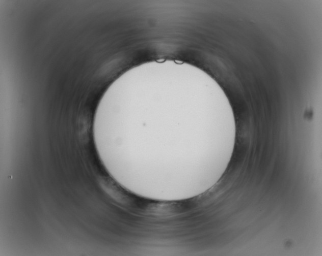 X0000101410082200808041114