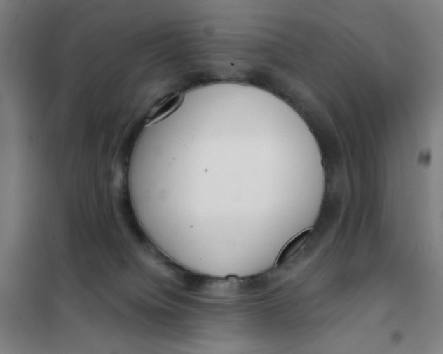 X0000101410084200808041114