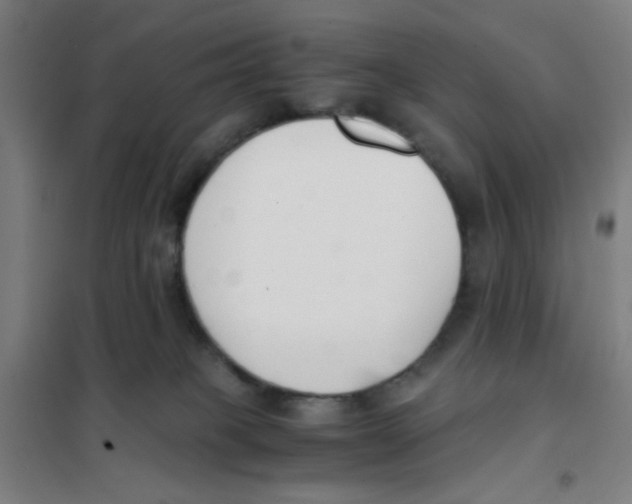 X0000101410085200808041114