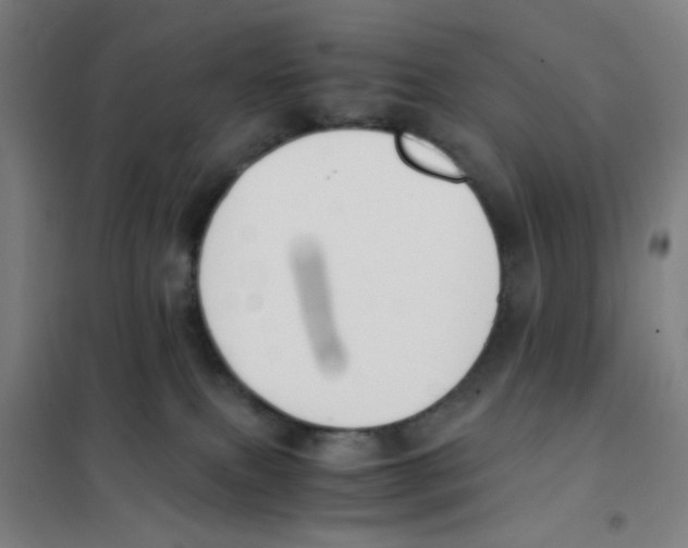 X0000101410087200808041114