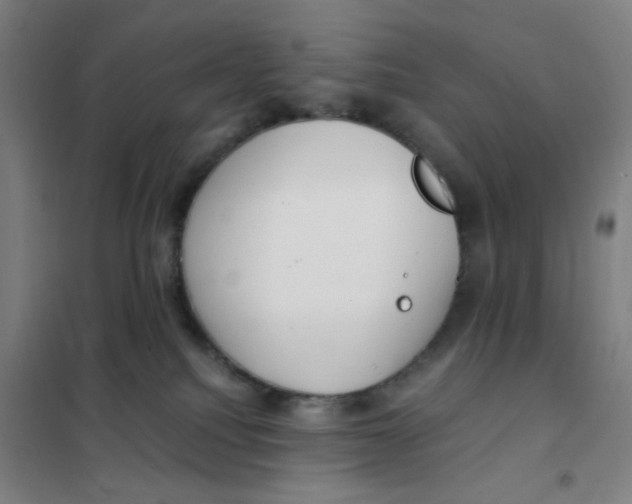 X0000101410088200808041114