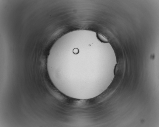 X0000101410092200808041114
