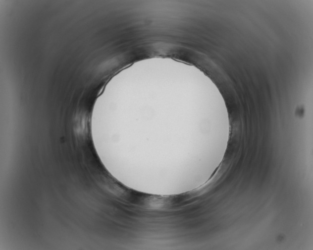 X0000101410094200808041114
