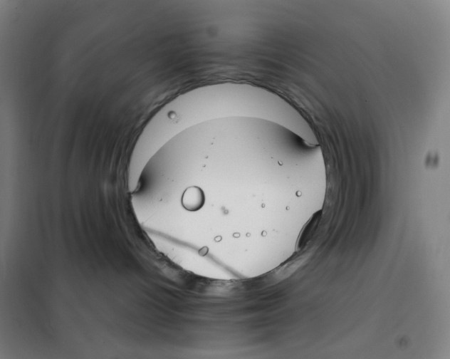 X0000101410096200808041114