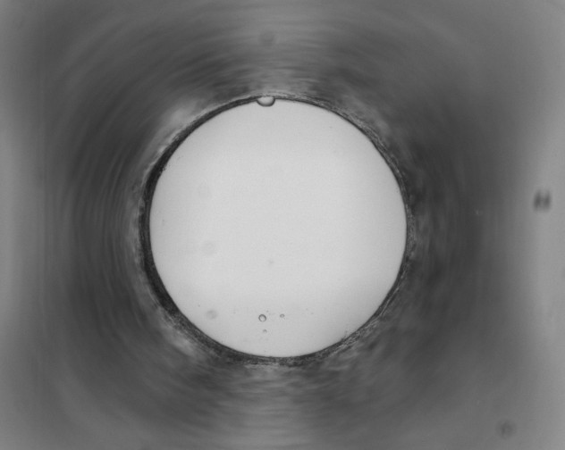 X0000101410098200808041113