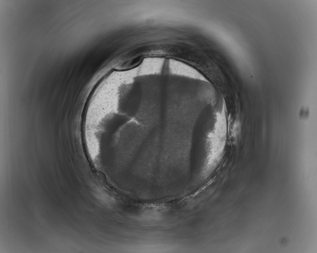 X0000101410099200808041113