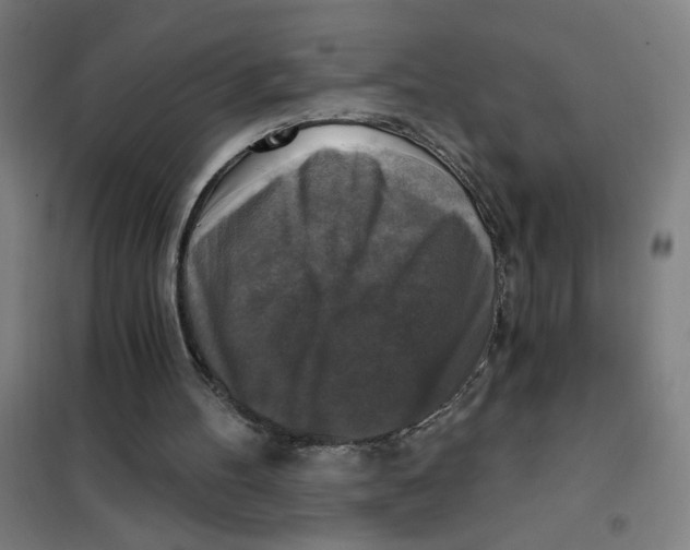 X0000101410100200808041113