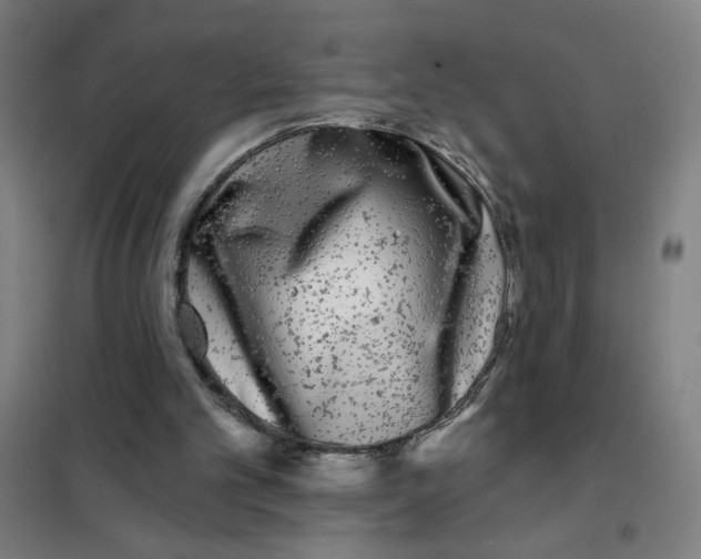 X0000101410101200808041113