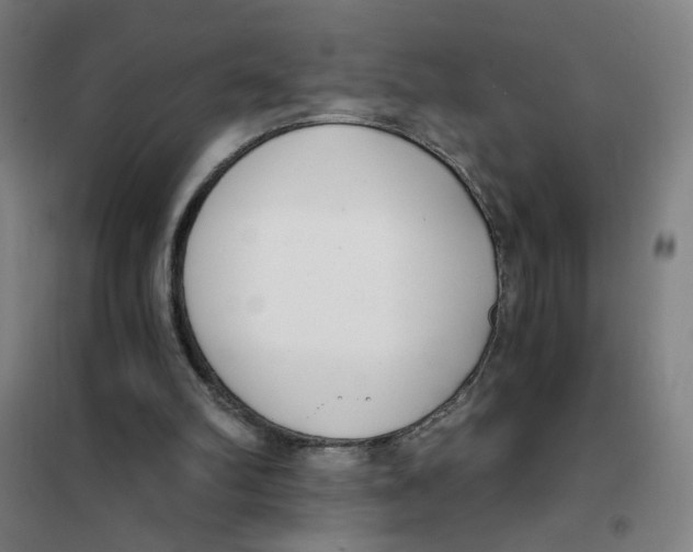 X0000101410102200808041113