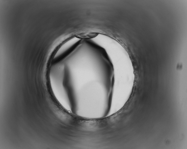 X0000101410104200808041113