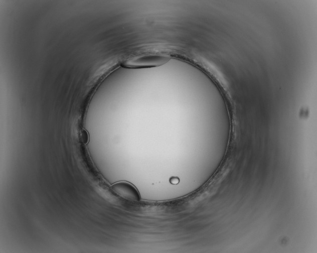 X0000101410105200808041113