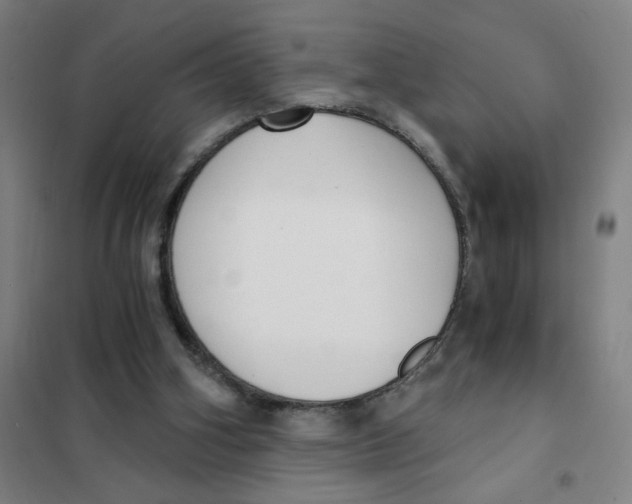 X0000101410106200808041113