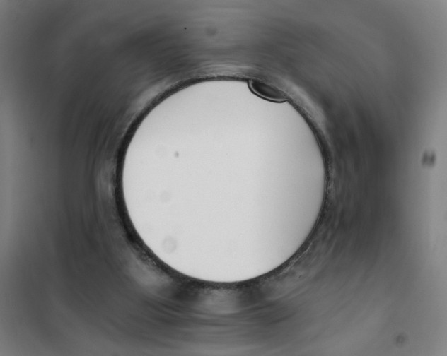 X0000101410107200808041113