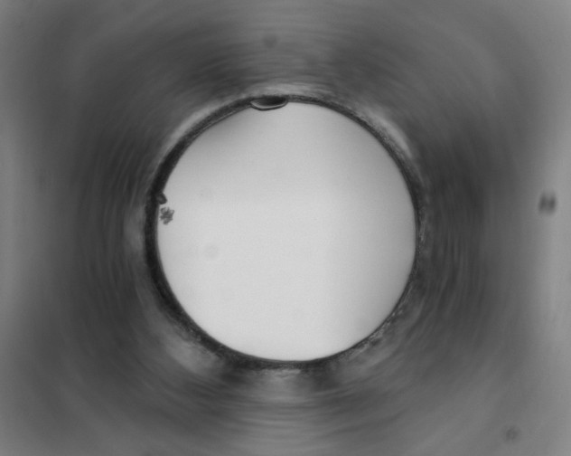 X0000101410108200808041113