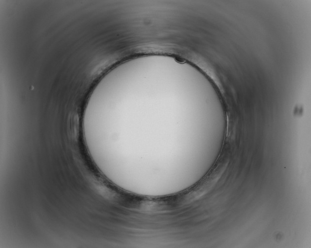 X0000101410109200808041113