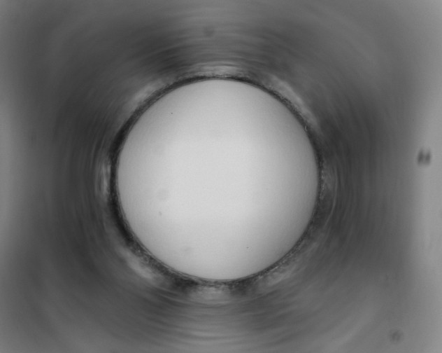 X0000101410110200808041113