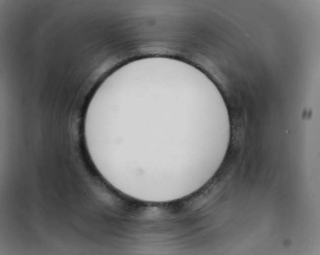 X0000101410111200808041113